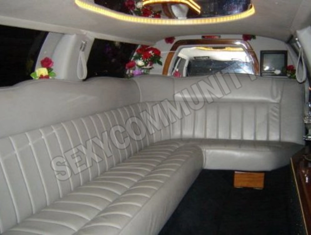 limousine744568249