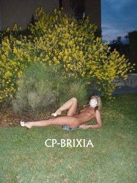 cpbrixia