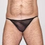 pig3one