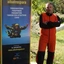 avignonese