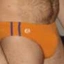 villoso1974