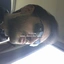 tcrow