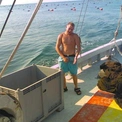 andyshark