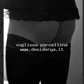vogliosa1porcellina