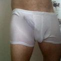 swingertorino