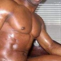 venizablackbull