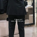 Zingaro67