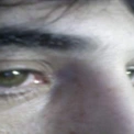 porcellonegenovese