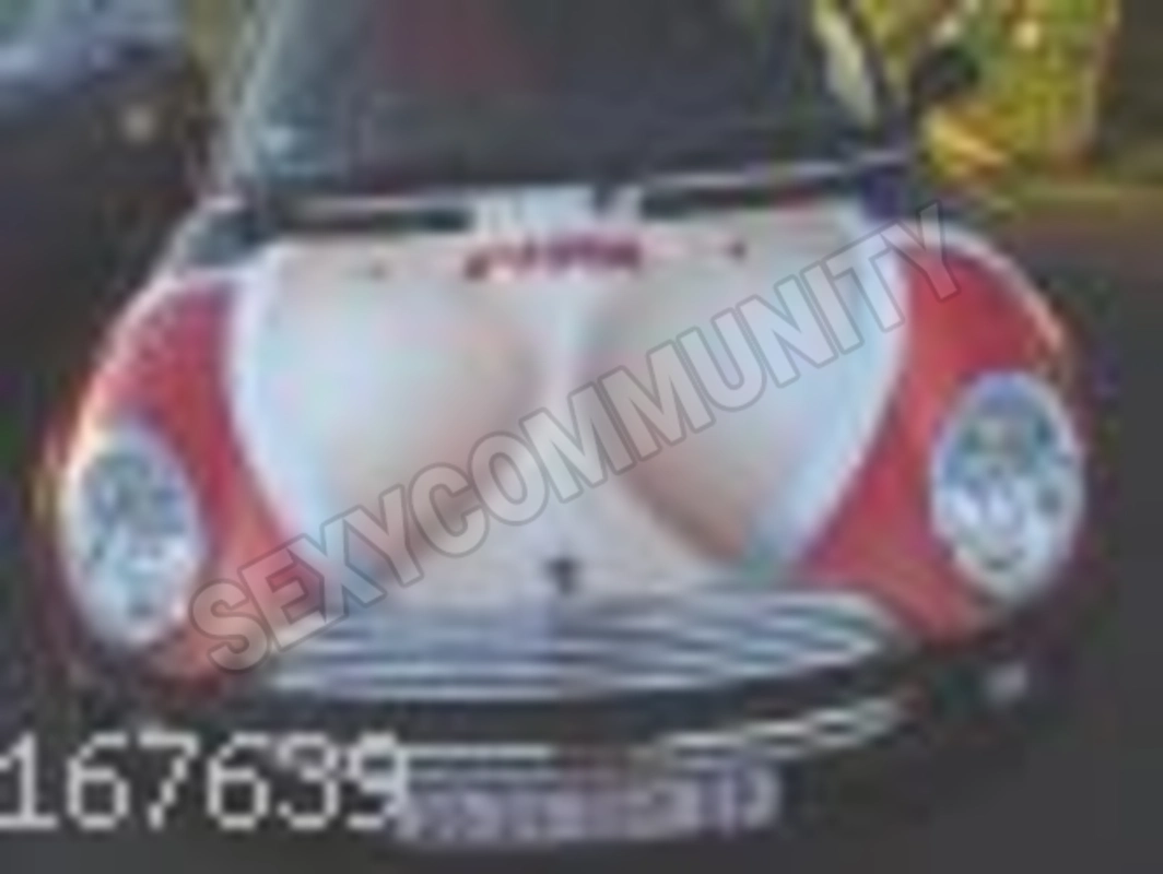 diokaos5381577