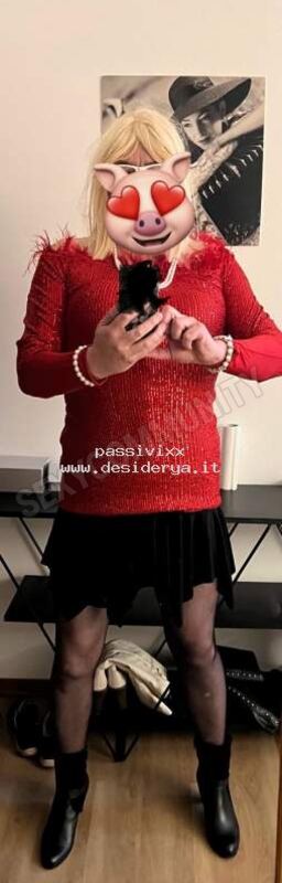 passivixx5880094
