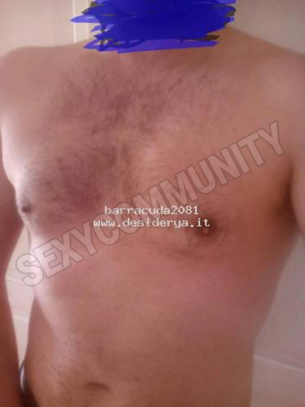 barracuda20815587601