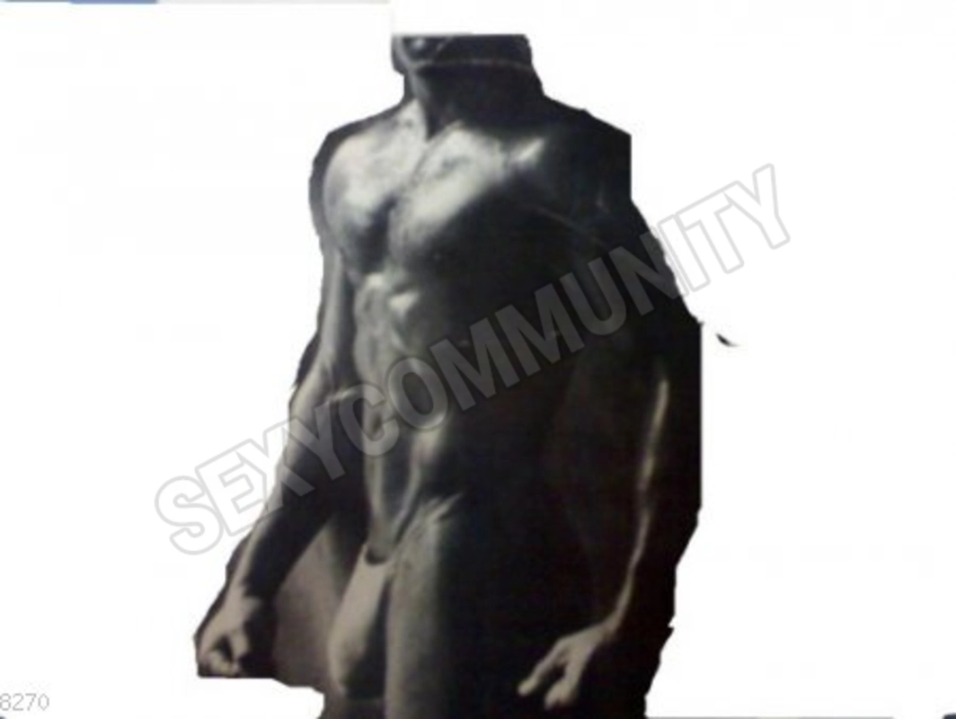 bodyguard20045266187
