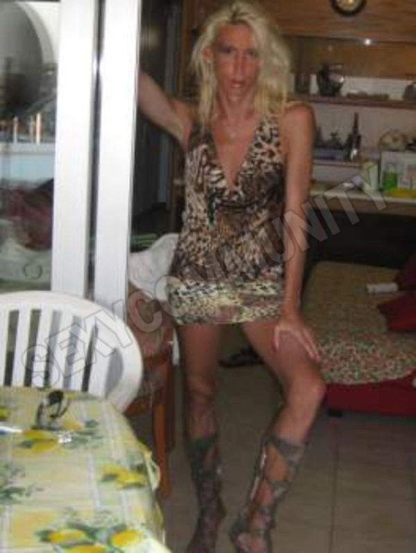 mitrans745564515