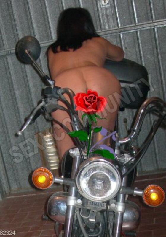 Sparty5323171