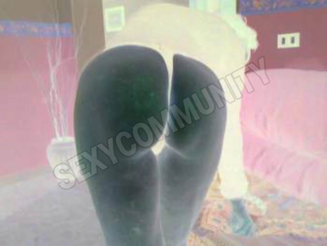 felmar5369836