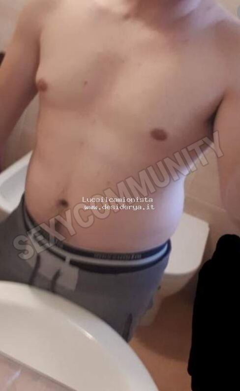 Lucailcamionista15880268