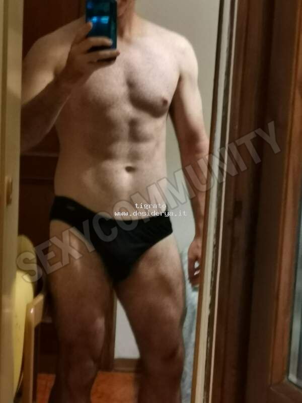 tigrato5265950