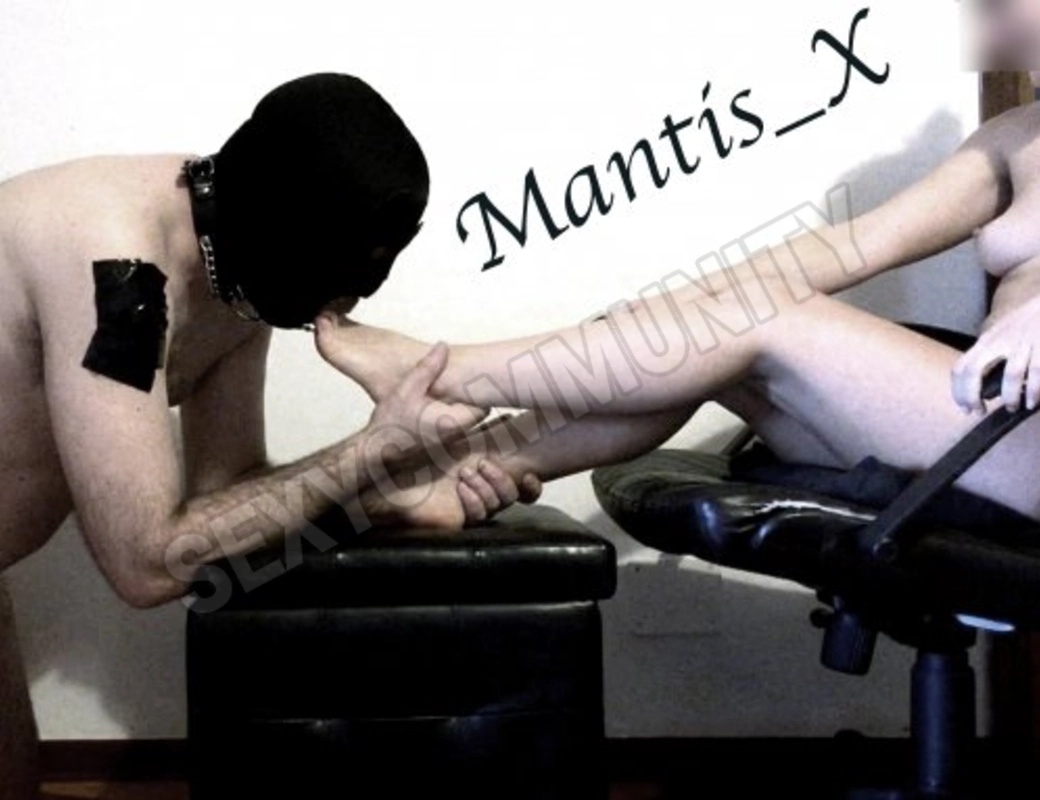 Mantis3X4843472