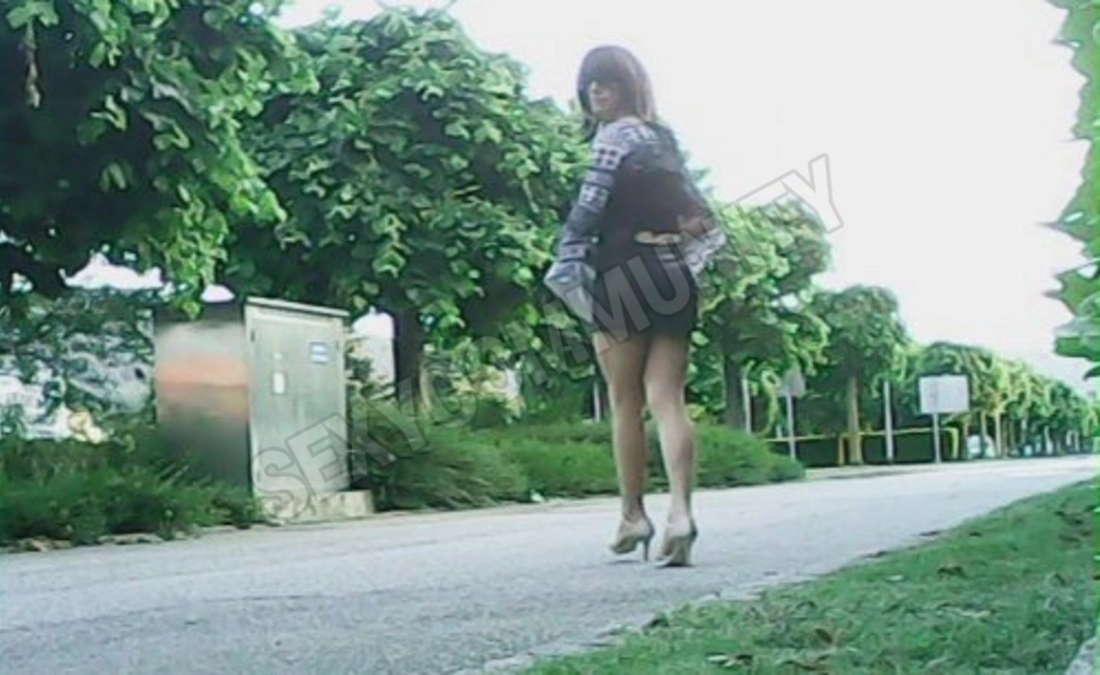 susy4508439