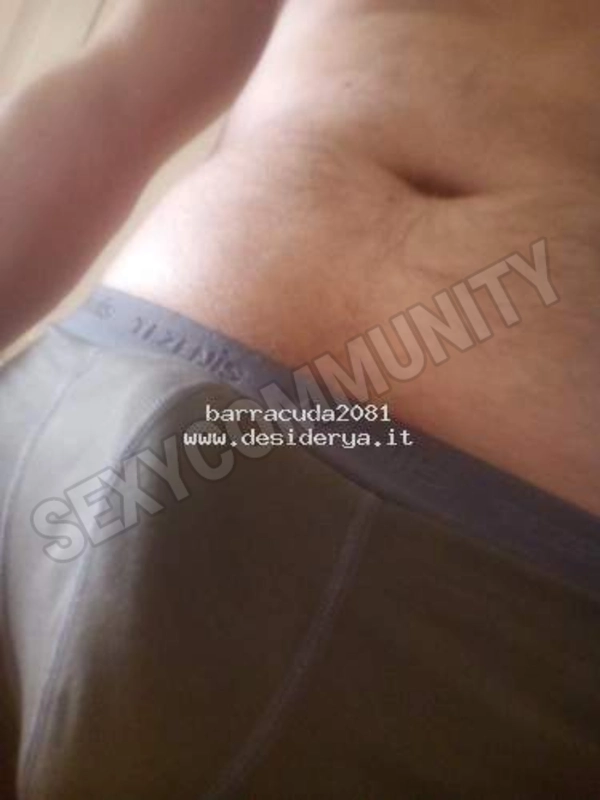 barracuda20815587600