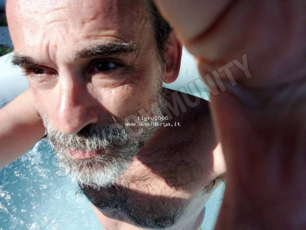 tigro20065362560