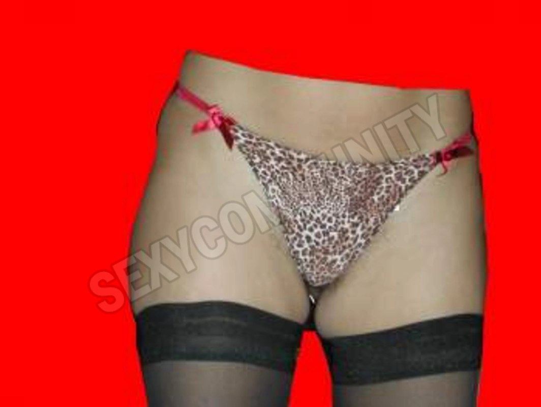 bilgia5383722