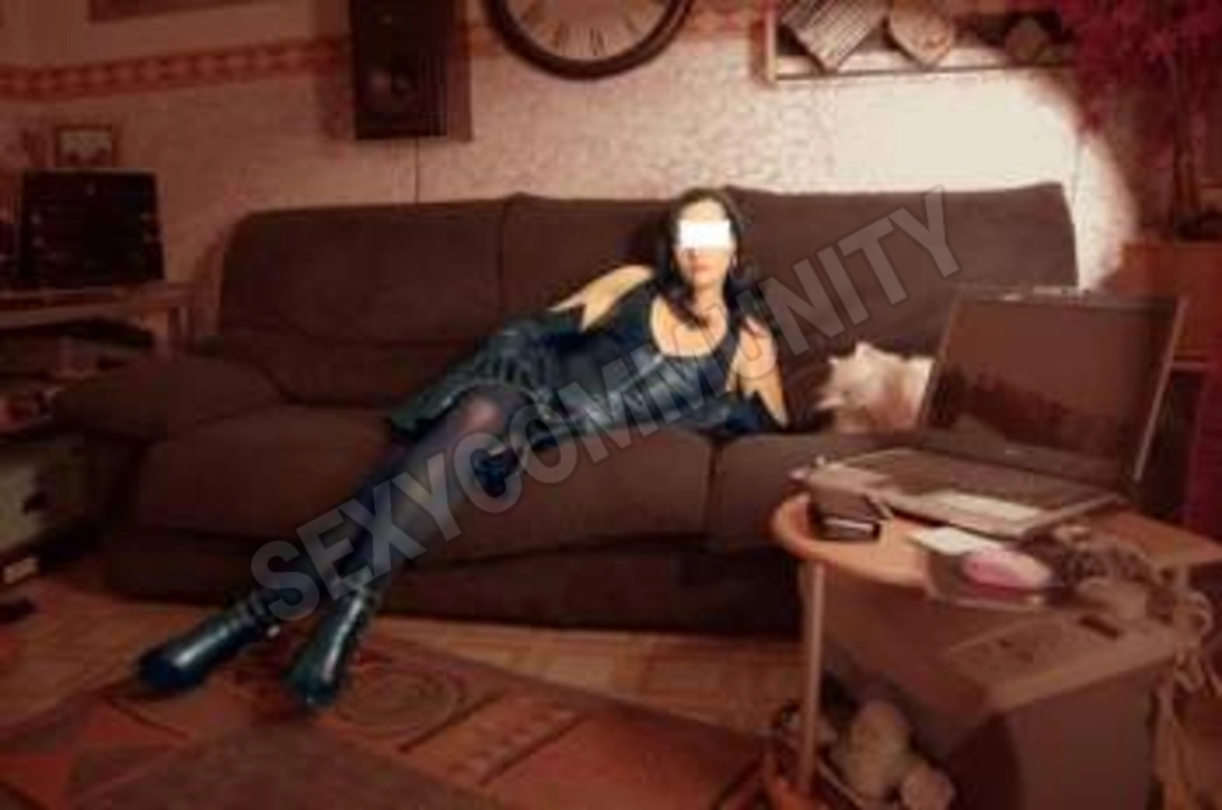 copleitrans5560549