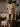 Nudista_XXX