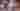 Serena
