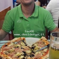 teo66