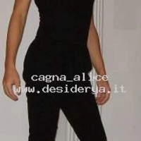 cagna3alice