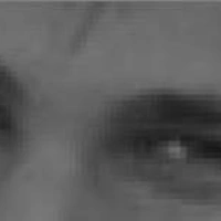 Robert2010