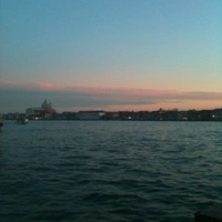rose e spine