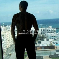 The1NightFly