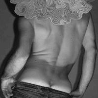 passerino171358