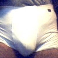 porco79
