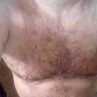 orsocattivo