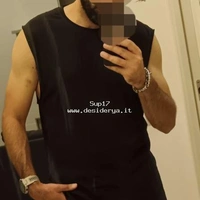 Sup17