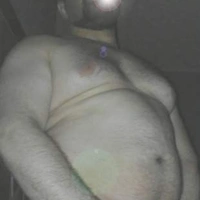 bearspactum