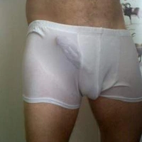 swingertorino