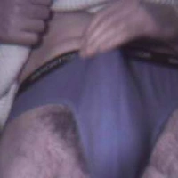 cavallodirazza