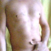 maremmanopaz