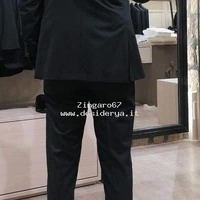 Zingaro67