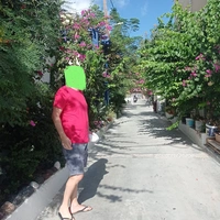Angi