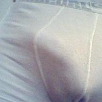 pestoo