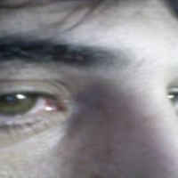 porcellonegenovese
