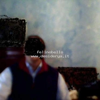felinobello