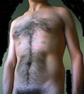 Torello3italiano