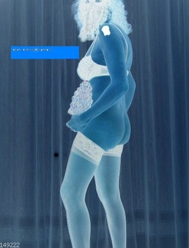 Divina6532006