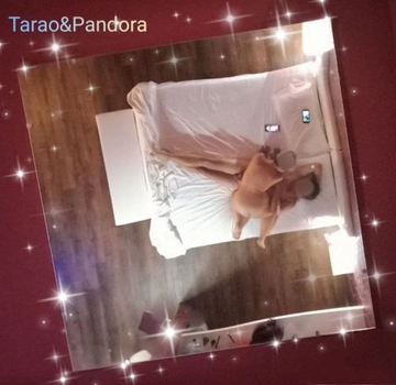 TaraoePandora